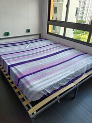 Blk 441A Fernvale Vista (Sengkang), HDB 3 Rooms #461783481